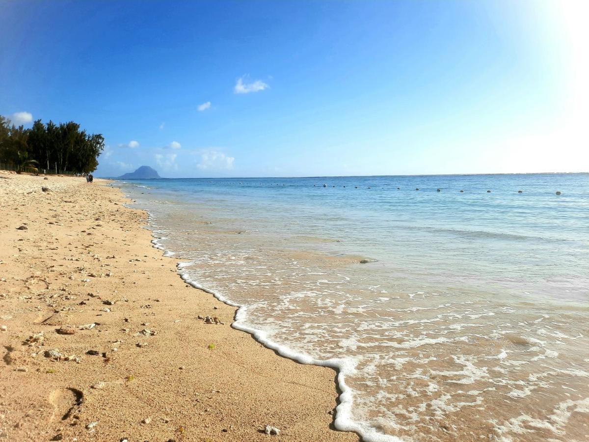 Apartment Luxury Modern - Excellent Location 50m From The Beach, Restaurants, Bars, Shops *